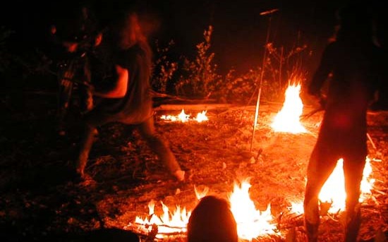 FAUNA share new audio single